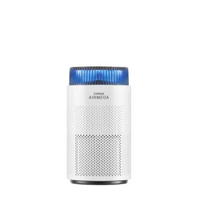Coway Airmega 100