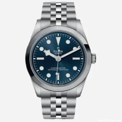Tudor Black Bay 36